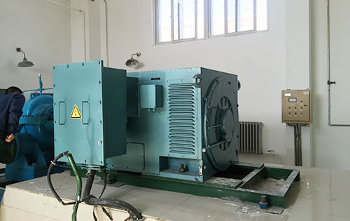 龙湾某水电站工程主水泵使用我公司高压电机一年质保